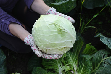 Similar image 22301748