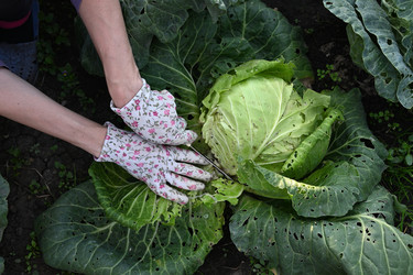 Similar image 22301749