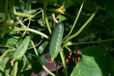 Similar image 22301751