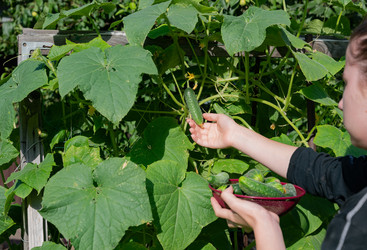 Similar image 22301752