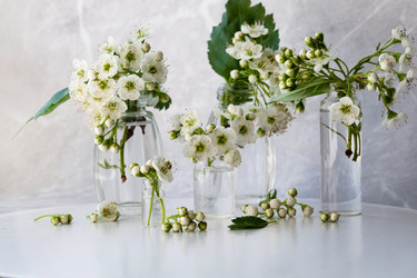 Similar image 22301765