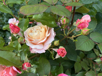 Similar image 22301768