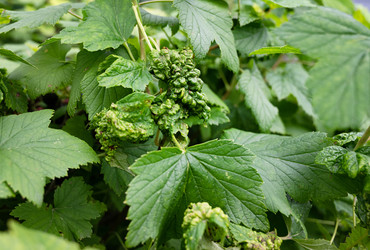 Similar image 22301775