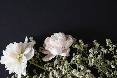 Similar image 22301777