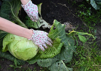 Similar image 22301782