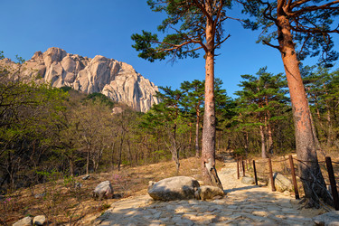 Similar image 22309706