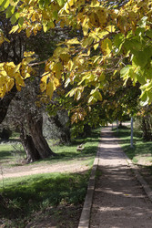 Similar image 22302103