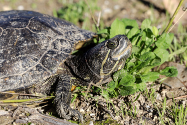 Similar image 22302105