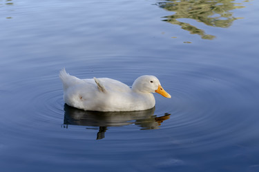 Similar image 22294219