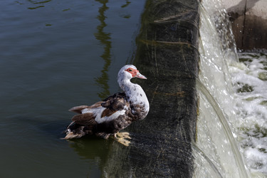 Similar image 22302107