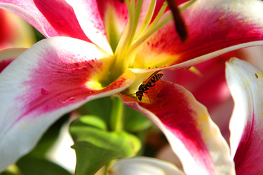 Similar image 22294222