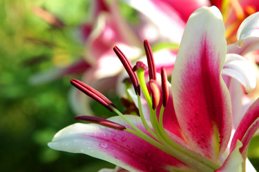 Similar image 22294223