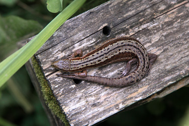 Similar image 22294224