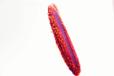 Similar image 22294225