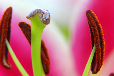 Similar image 22294226