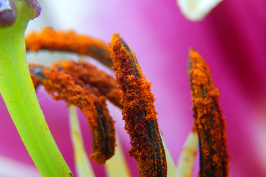 Similar image 22294227