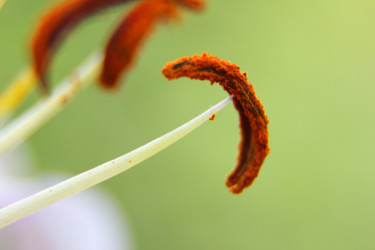 Similar image 22294228