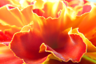 Similar image 22294229