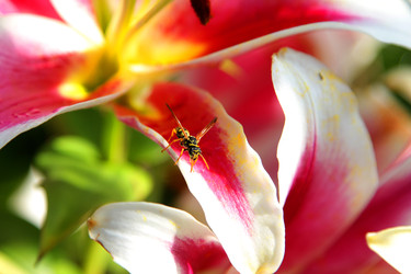 Similar image 22294230