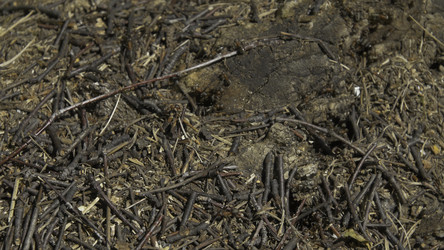 Similar image 22330943