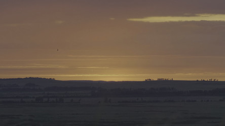 Similar image 22330946