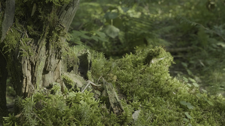 Similar image 22330947