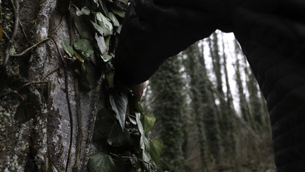 Similar image 22330953