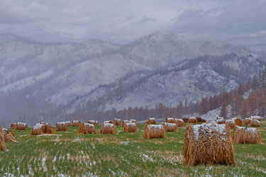 Similar image 22291432