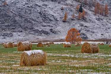 Similar image 22291433