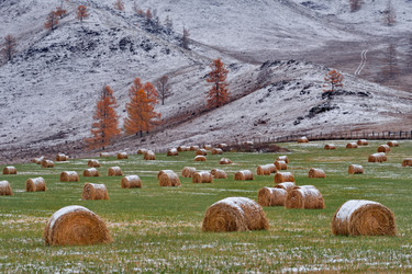 Similar image 22291436