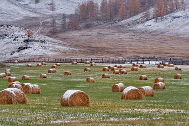 Similar image 22291437