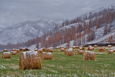 Similar image 22291439