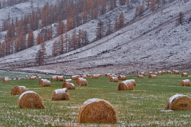 Similar image 22291440