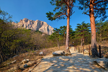 Similar image 22305486