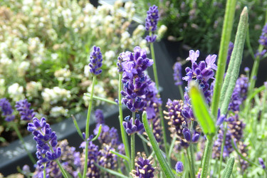 Similar image 22291905