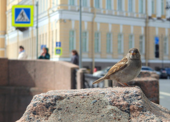 Similar image 22291908