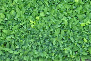 Similar image 22291911