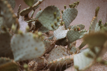 Similar image 22321416