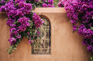 Similar image 22321449