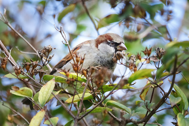 Similar image 22291918