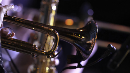 Similar image 22296489