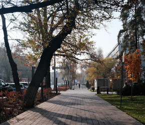 Similar image 22316533