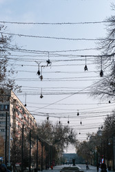 Similar image 22316534