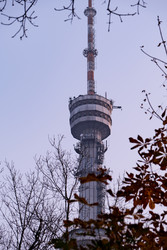 Similar image 22316545