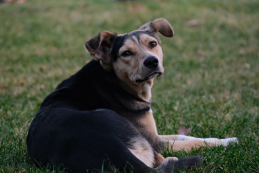 Similar image 22316546