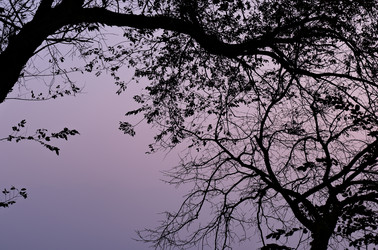 Similar image 22316547