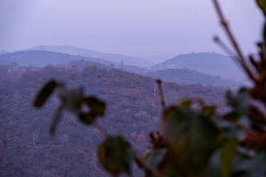 Similar image 22316549