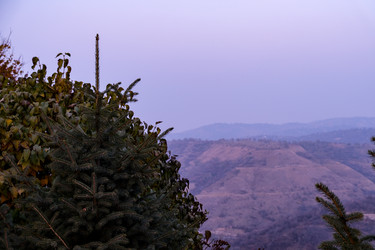 Similar image 22316553