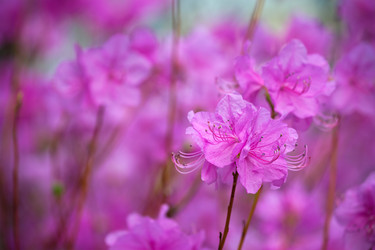 Similar image 22305516