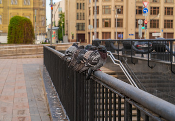 Similar image 22291926